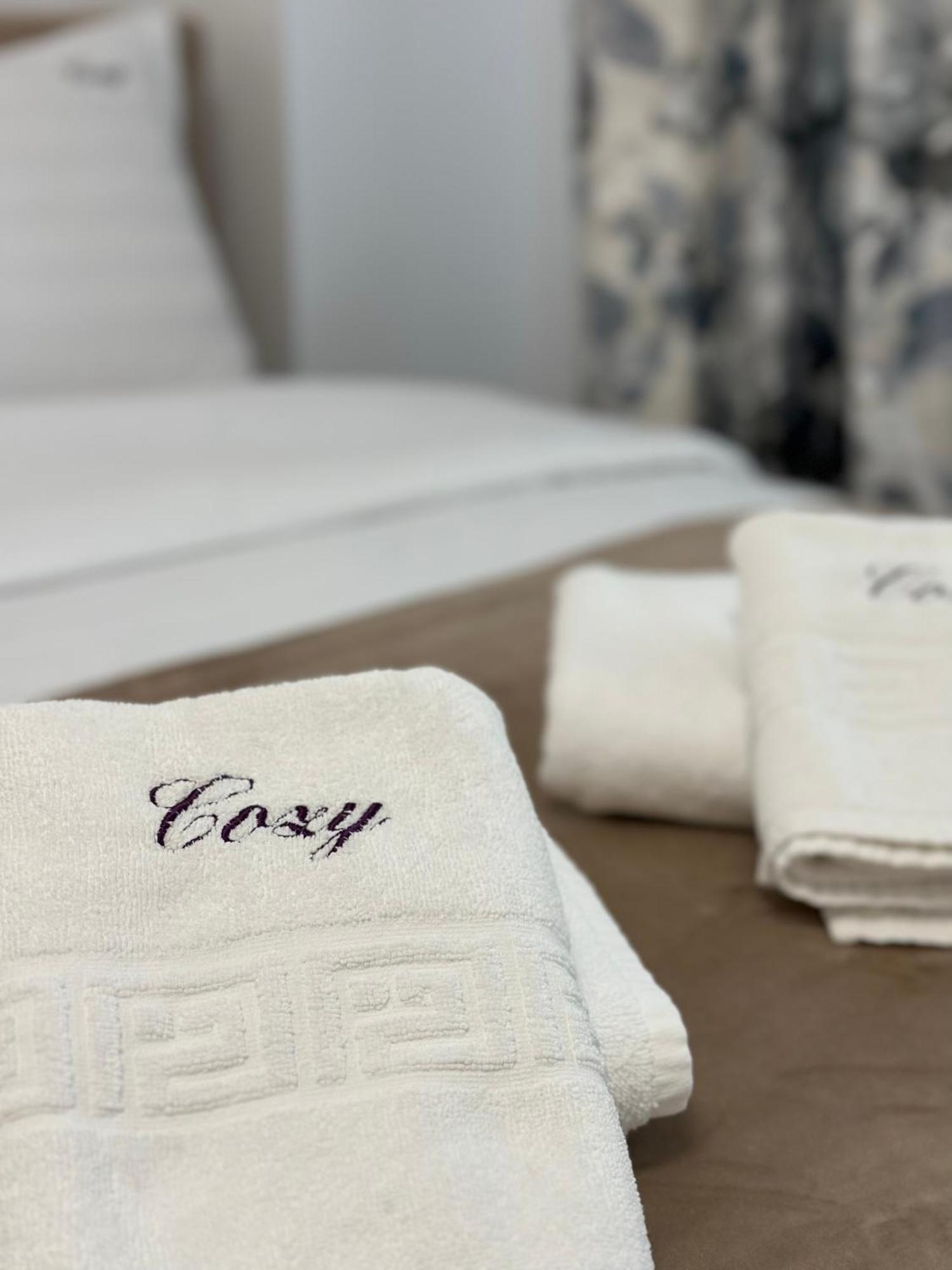 Cozy Unirea Towers 公寓